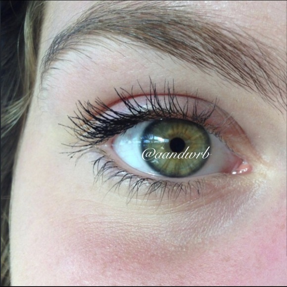 Meet your Posher, Aiden - Picture 1 of 1